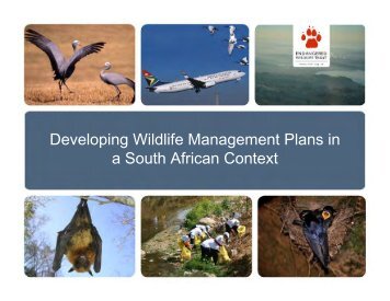 Developing Wildlife Management Plans in a South African Context