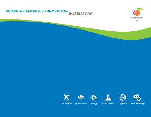 GEORGIA CENTERS of INNOVATION INCUBATORS