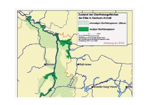 Die Elbe - vom Urstromtal zur Kulturlandschaft - Elbe-Saale-Vereine