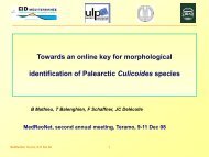 Towards an online key for morphological identification ... - Medreonet