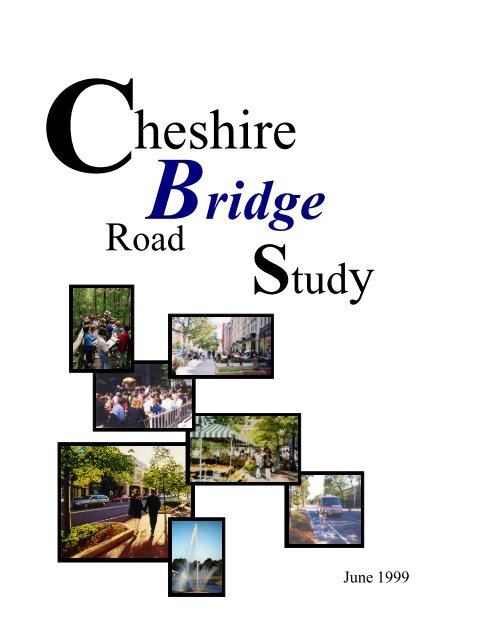 Cheshire Bridge Road Study - City of Atlanta GIS