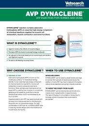 AVP DYNACLEINE - Greyhound Products Direct