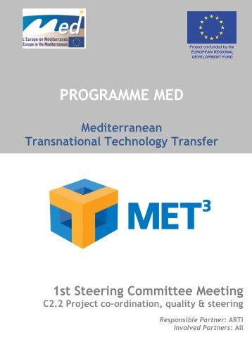 1st Steering Committee meeting minutes