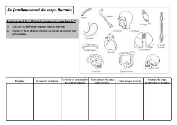 Le fonctionnement du corps humain