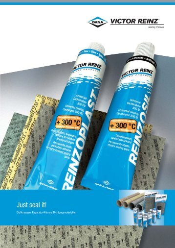Just seal it! - REINZ Dichtungs GmbH
