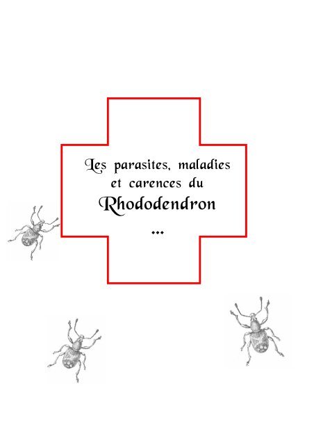 Les maladies du rhododendron. Rhodo malade.