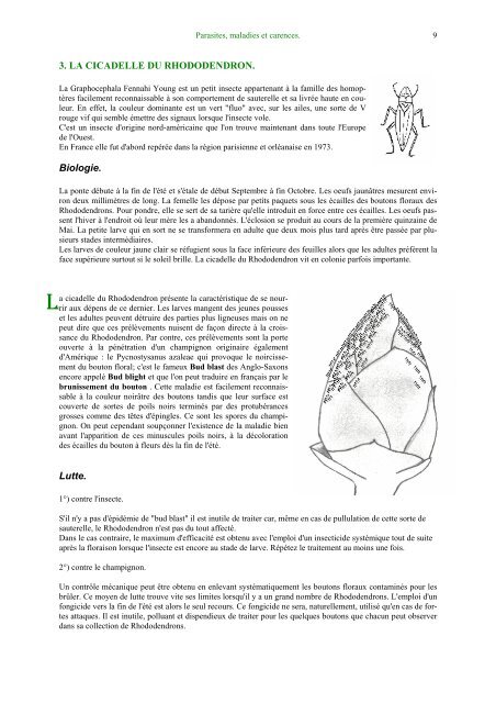 Les maladies du rhododendron. Rhodo malade.