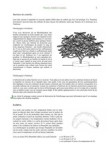 Les maladies du rhododendron. Rhodo malade.