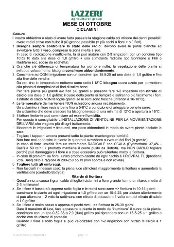 Consigli di coltivazione e difesa del Ciclamino - Clamer Informa