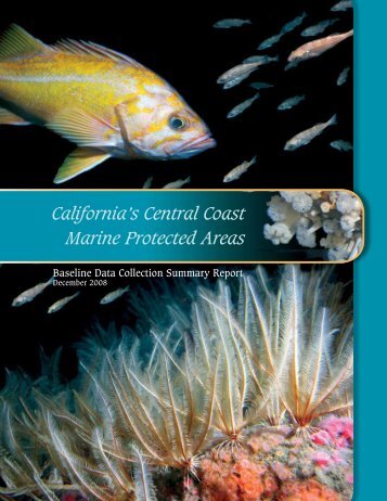 California's Central Coast Marine Protected Areas - California Sea ...