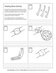 Ask A Biologist - What's In Your Brain? - Worksheet Activity