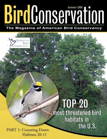 Read ABC's report on the Top 20 Most Threatened Bird Habitats in ...