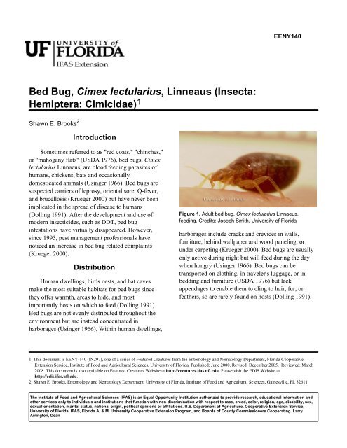 https://img.yumpu.com/24660059/1/500x640/bed-bug-cimex-lectularius-linneaus-insecta-hemiptera-.jpg