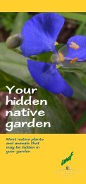 Your hidden native garden - Sydney Weeds Committees