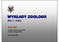 WYKÅADY ZOOLOGII