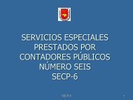 SERVICIOS ESPECIALES PRESTADOS POR CONTADORES PÚBLICOS NÚMERO SEIS SECP-6