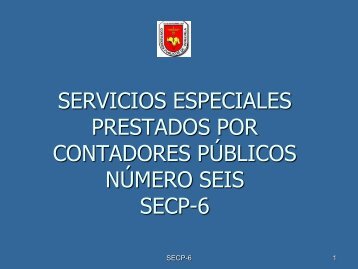 SERVICIOS ESPECIALES PRESTADOS POR CONTADORES PÚBLICOS NÚMERO SEIS SECP-6