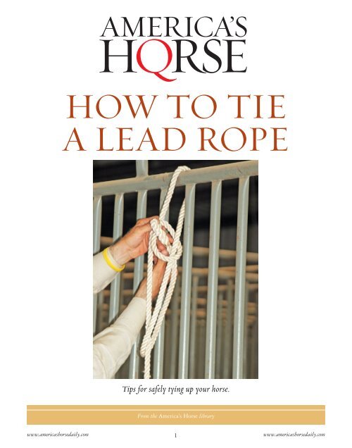 HOW TO TIE A LEAD ROPE America's Horse Daily