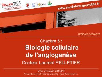 Vascular Endothelial Growth Factor - UniversitÃ© Joseph Fourier