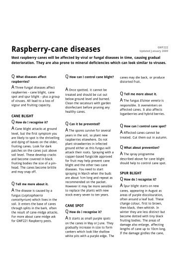 Raspberry-cane diseases - Which.co.uk