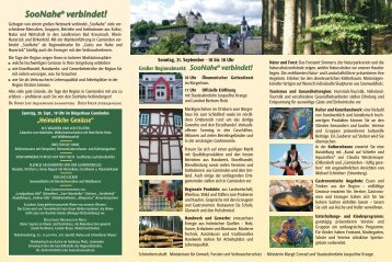 Download PDF - RegionalbÃ¼ndnis Soonwald-Nahe