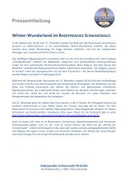 Winter-Wunderland - Badeparadies Schwarzwald