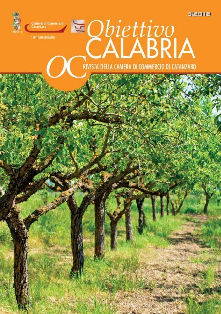 numero 3 anno 2012 - CCIAA di Catanzaro - Camera di Commercio