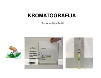 KROMATOGRAFIJA - PBF