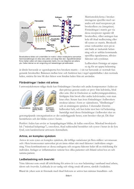 Helaflex - Scientific Communication AB