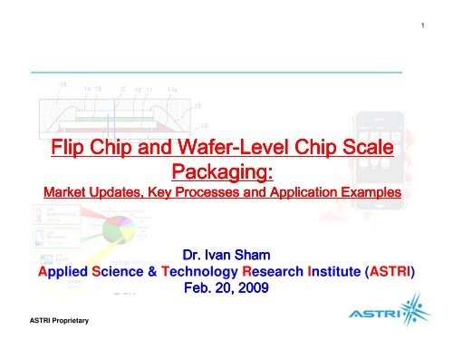 Flip Chip and Wafer-Level Chip Scale Packaging