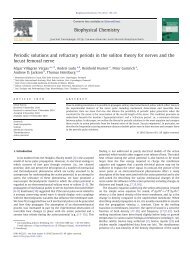 Periodic solutions and refractory periods in the soliton ... - Membrane