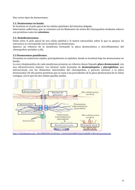 tema 9 membrana plasmÃ¡tica y orgÃ¡nulos ... - BiologÃ­a El Valle