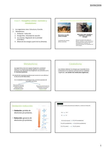 Metabolismo Catabolismo Oxidación-reducción - psicobiologia