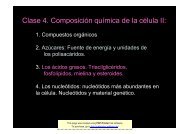 Clase 4. Composición química de la célula II: - psicobiologia