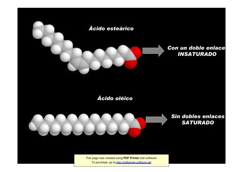 Clase 4. Composición química de la célula II: - psicobiologia