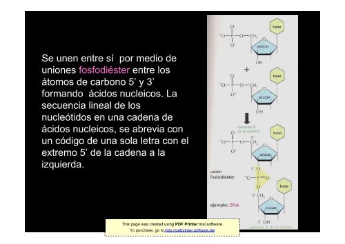 Clase 4. Composición química de la célula II: - psicobiologia