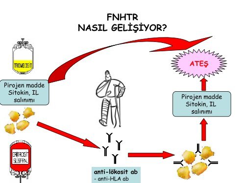 İmmünolojik Transfüzyon Reaksiyonları