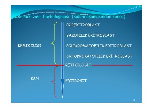 Kan Bileşenlerinin Tanımı