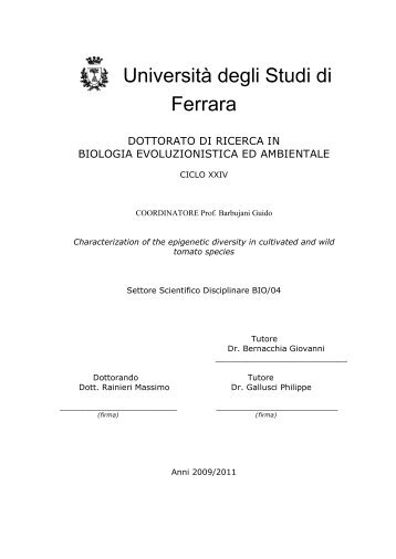 Tesi Dot. Rainieri Massimo UNIFE/BX1 - UniversitÃ  degli Studi di ...