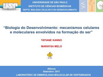 Biologia do Desenvolvimento: mecanismos celulares - Depto. de ...