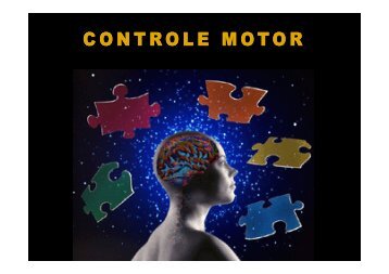 2. funÃ§Ãµes do controle motor