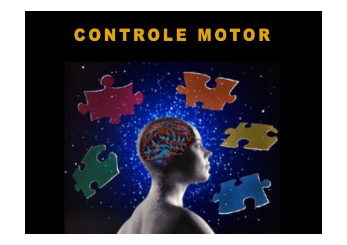 2. funÃ§Ãµes do controle motor