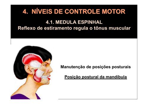 2. funÃ§Ãµes do controle motor