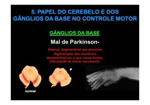 2. funÃ§Ãµes do controle motor