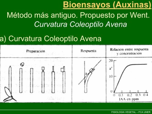 Reguladores Veg - Introduccion_2007.pdf