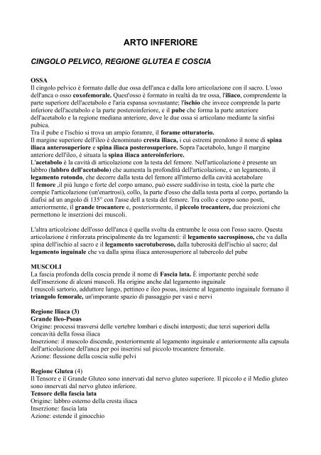 Arto Inferiore.pdf