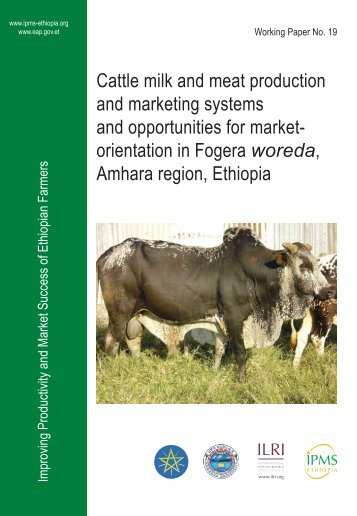 WP 19.pdf - CGSpace Home - cgiar