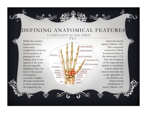 THE EVOLUTION OF THE HUMAN HAND