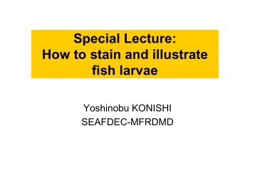 Special Lecture: How to stain and illustrate fish larvae