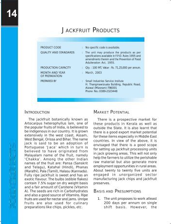 JACKFRUIT PRODUCTS - Dc Msme